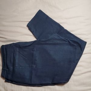 Lane Bryant Skinny Jeans